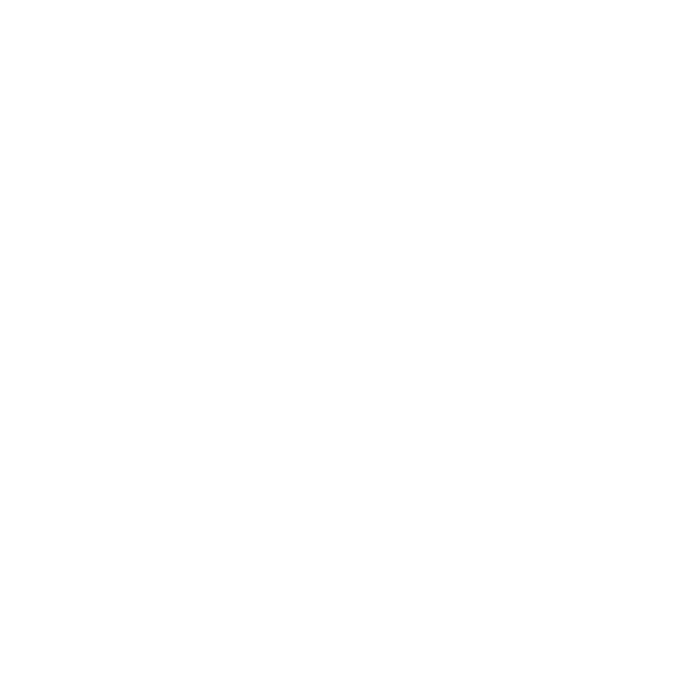 turf pronos logo blanc